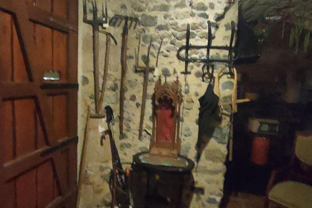 Apartament Volca Rocanegra Santa Pau Zewnętrze zdjęcie
